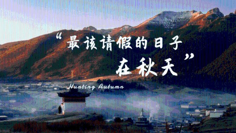 拯救精灵的土地7