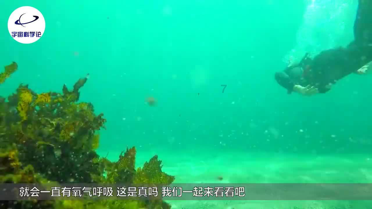 僵尸跳跳跳