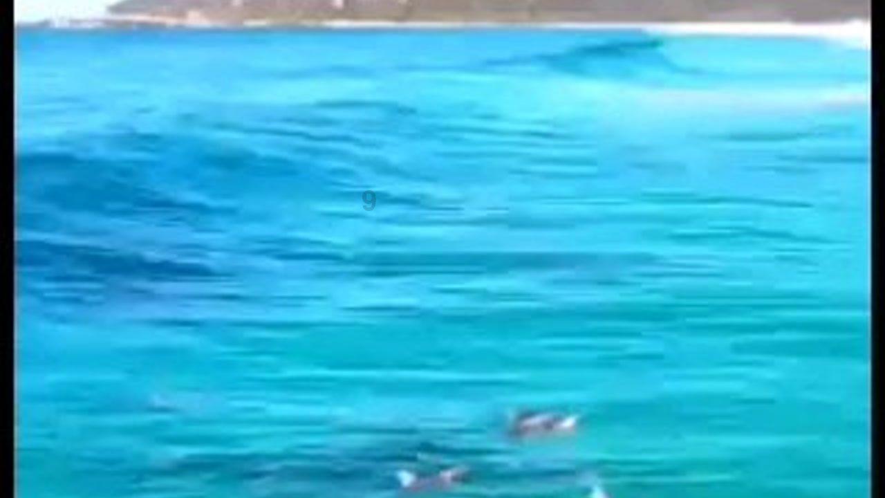 记忆之地