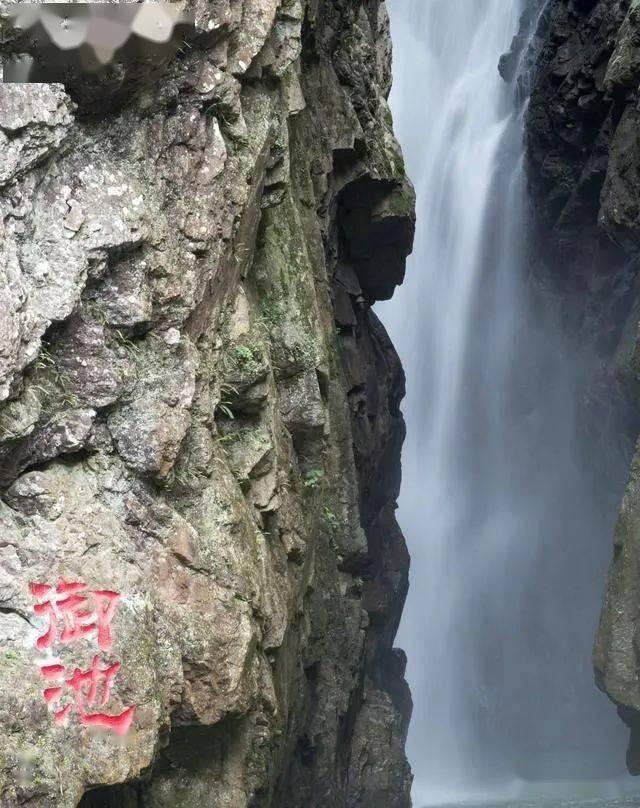 一个在低空飞翔的评论家