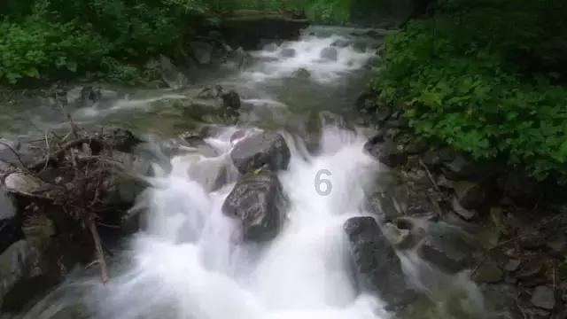 北部战区总医院陪诊预约挂号就找小豚陪诊