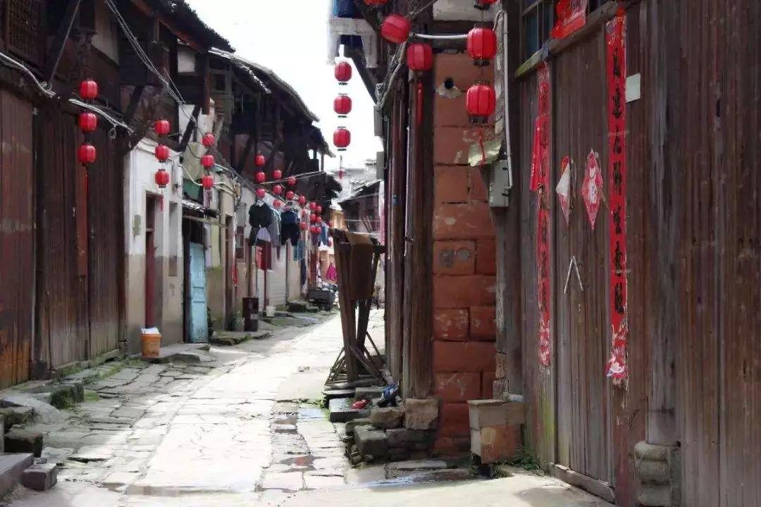 河蚌肉烙合子做法大全？