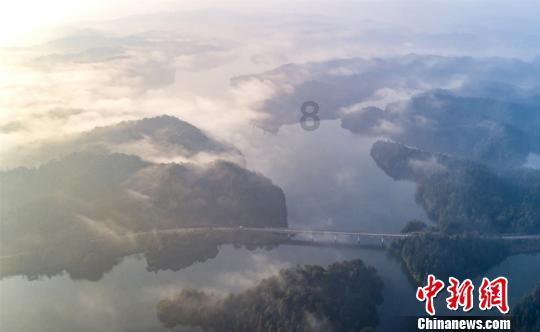 国外办理的驾驶证能转回国内使用吗？- 你的问题，我来答